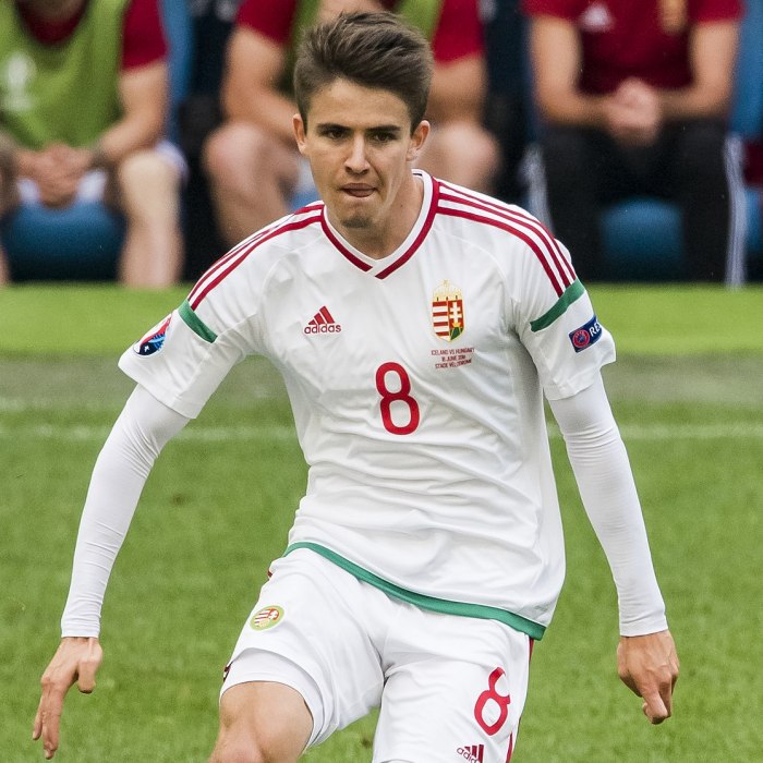 Ádám Nagy