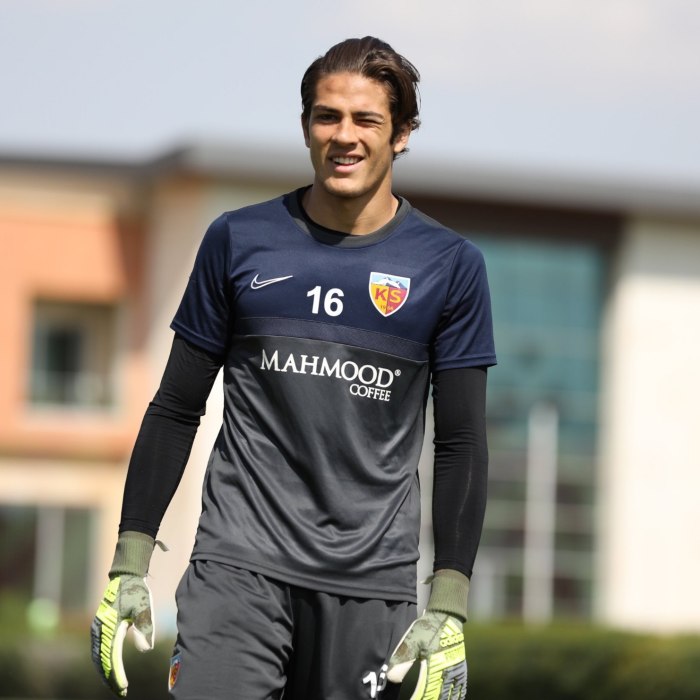 Doğan Alemdar